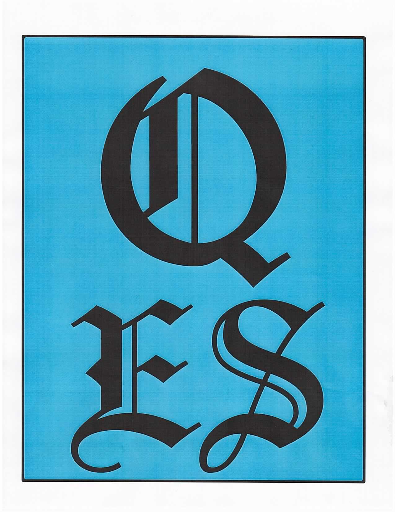 Qes Logo